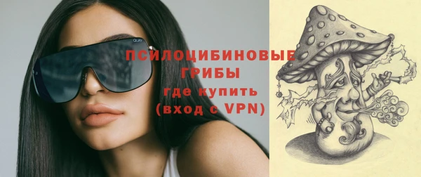 герыч Бронницы