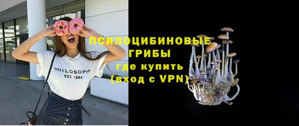 герыч Бронницы