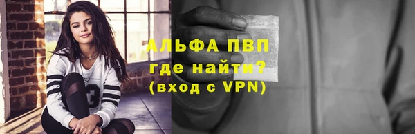 прущие грибы Богородск