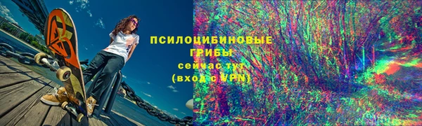 соль ск Бородино