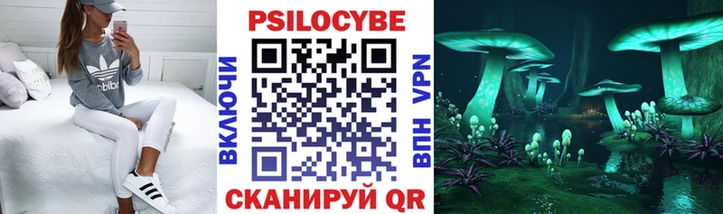 Псилоцибиновые грибы мухоморы  Пенза 